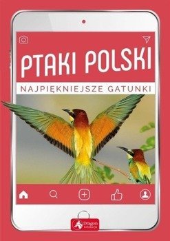 Ptaki Polski. Najpiękniejsze gatunki - Anna Przybyłowicz, Łukasz Przybyłowicz