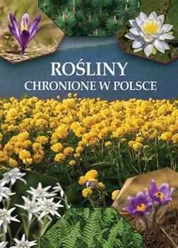 Rośliny chronione w Polsce, praca zbiorowa