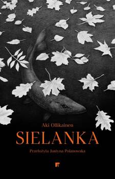 Sielanka, Aki Ollikainen