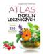 Atlas roślin leczniczych, Małgorzata Mederska