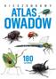 Kieszonkowy atlas owadów, Kamila Twardowska