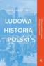 Ludowa historia Polski, Adam Leszczyński